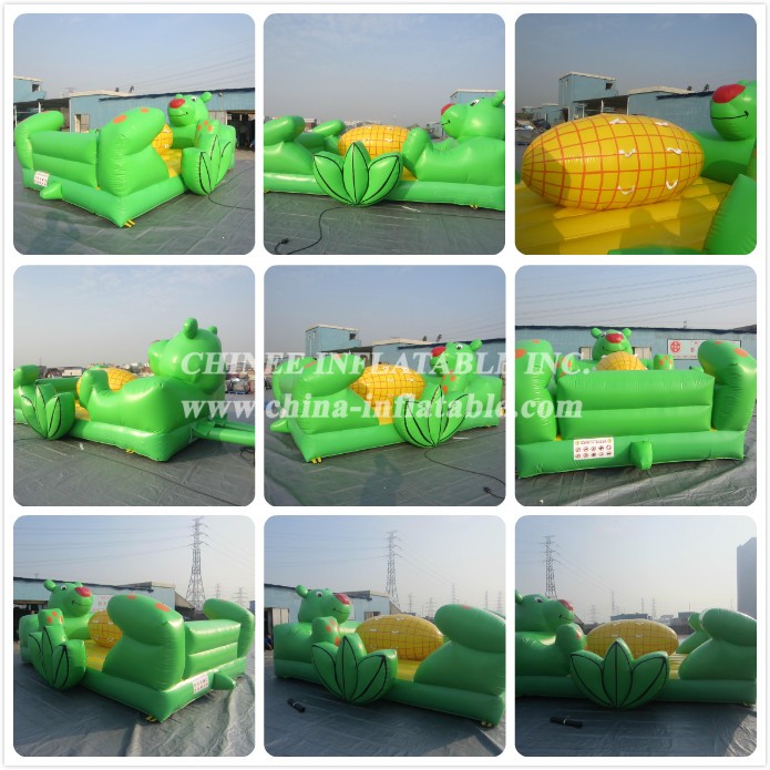 d - Chinee Inflatable Inc.