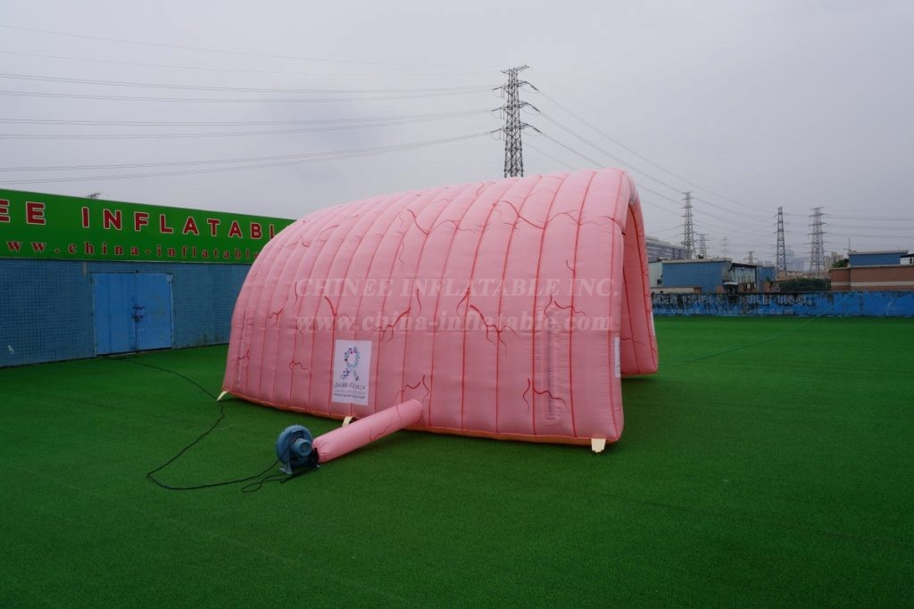 Tent1-441C visceral shape inflatable tent